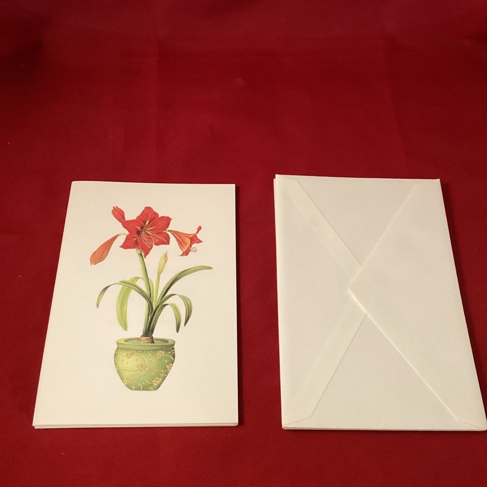 Five Christmas greetings cards with matching envelopes (French text)